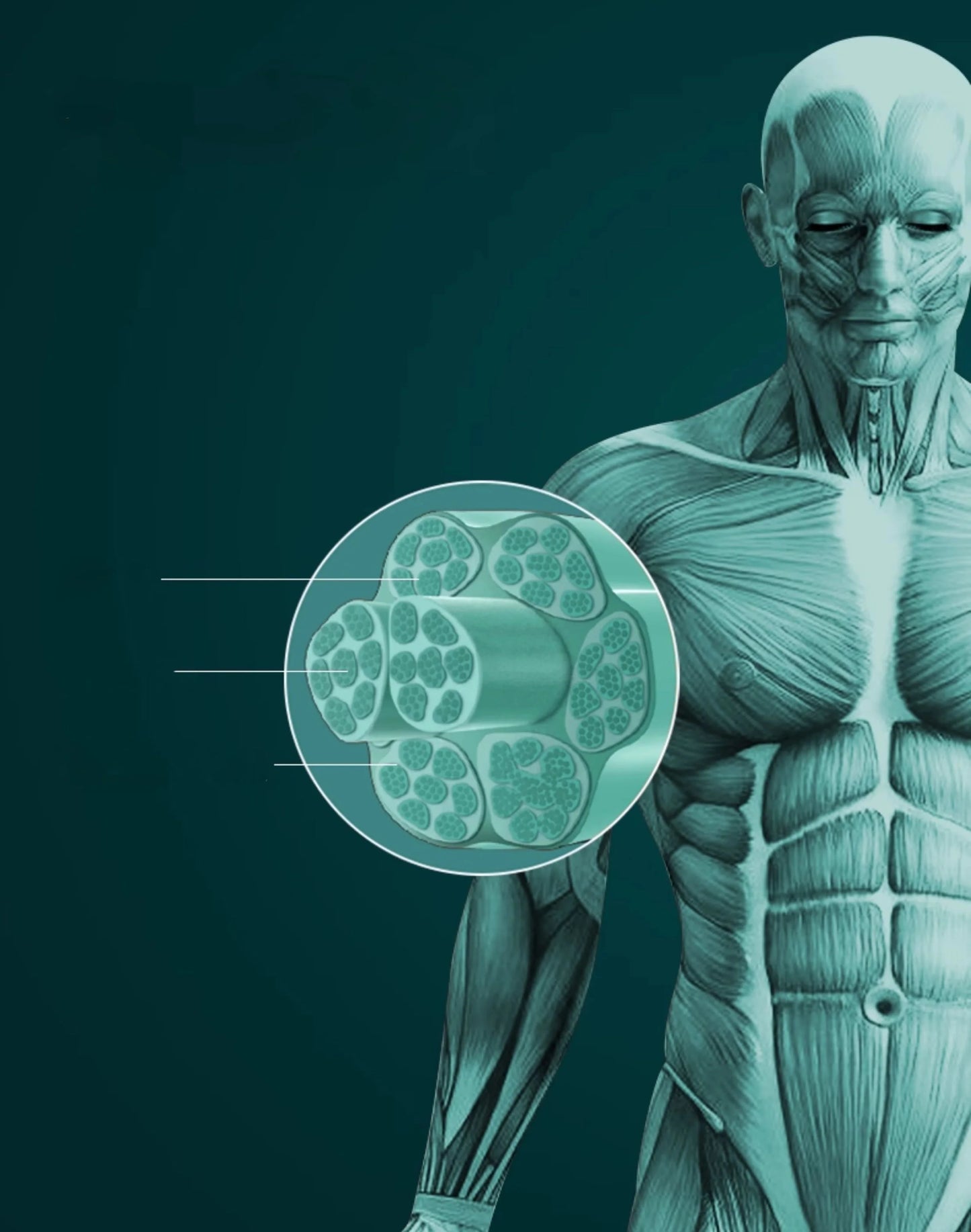 Konka Electric Fascia Gun High Quality